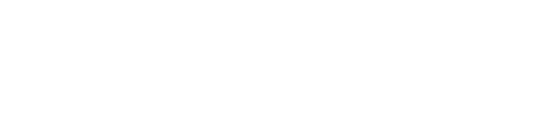 Enterprise Bot